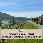 Modern - Fuer Freunde & Familien, Stadtnah, Parkplatz, E-ladestation, Gitterbox Fuer Fahrraeder, Fitnessstudio, Digitale Gaestemappe Mit Restaurant- Und Unternehmenstipps 아파트 코블렌츠