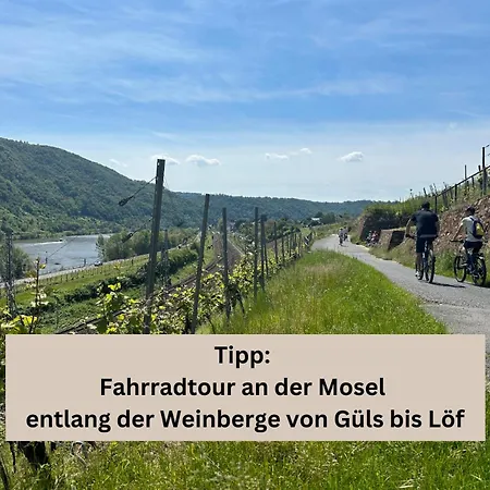 Modern - Fuer Freunde & Familien, Stadtnah, Parkplatz, E-ladestation, Gitterbox Fuer Fahrraeder, Fitnessstudio, Digitale Gaestemappe Mit Restaurant- Und Unternehmenstipps Apartment Koblenz (Rhineland-Palatinate)