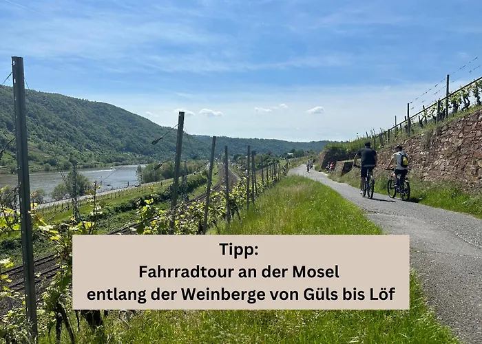 Modern - Fuer Freunde & Familien, Stadtnah, Parkplatz, E-ladestation, Gitterbox Fuer Fahrraeder, Fitnessstudio, Digitale Gaestemappe Mit Restaurant- Und Unternehmenstipps Apartamento Coblença